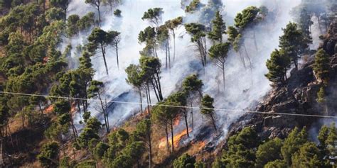 Incendi Sicilia Allarme Diossina A Palermo