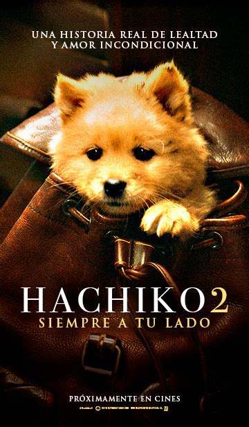 HACHIKO 2 SIEMPRE A TU LADO Bf Distribution