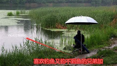 夏季現在怎麼釣鯉魚方法和不同水域釣法 每日頭條