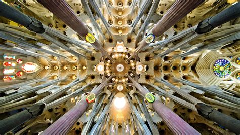 White Ceiling Art Architecture Cathedral Sagrada Familia Barcelona