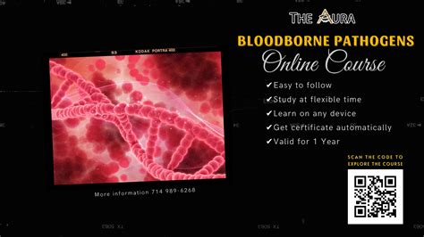 Online Bloodborne Pathogens Courses With Only The Aura Beauty