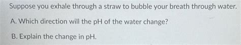 Solved Suppose You Exhale Through A Straw To Bubble Your