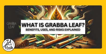 grabba leaf benefits   risks explained