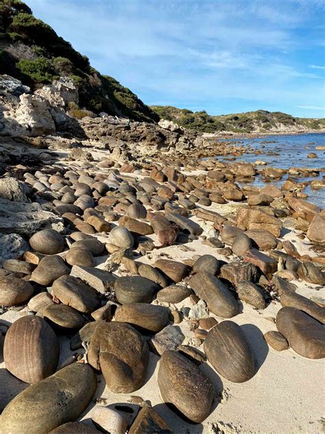 Só os mais inteligentes e de visão aguçada conseguem Encontre os 2