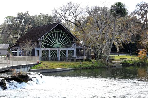 De Leon Springs State Park, De Leon Springs, Florida — SOUTH OF SEEDS