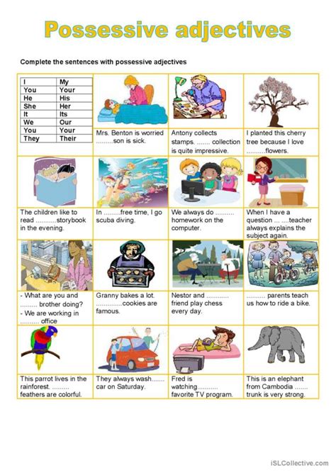 Possessive Adjectives General Gramma English Esl Worksheets Pdf And Doc