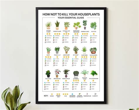 Houseplant Guide Plant Care Guide Beginner Plant Chart Plant Care