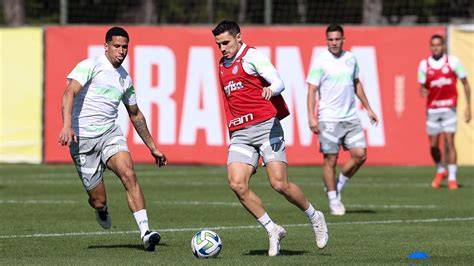 Depois de dois meses zagueiro retorna e Palmeiras ganha reforço para a