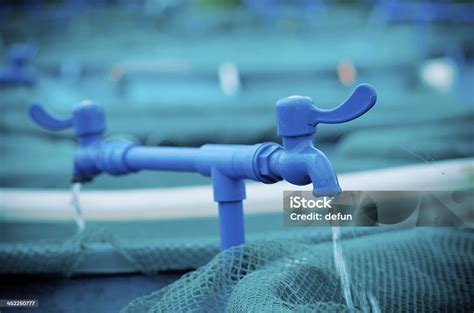 Agriculture Aquaculture Water System Farm Stock Photo Download Image