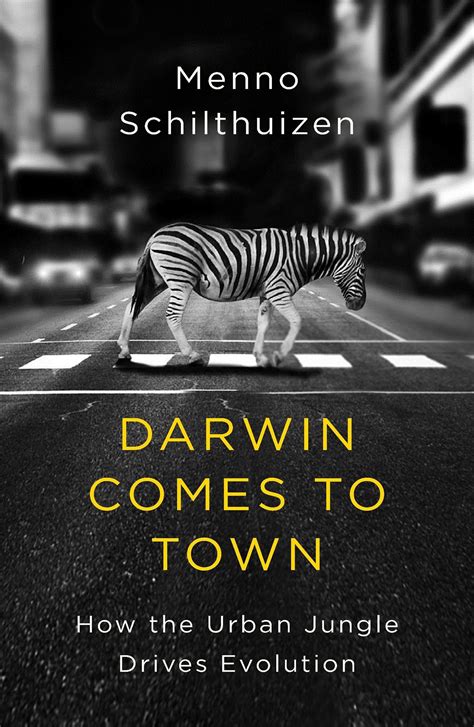 Darwin Comes To Town English Edition 9