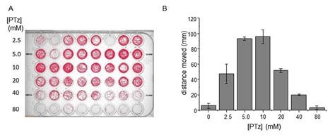 Zebrafish High Throughput Screen For Antiepileptic Drugs Noldus