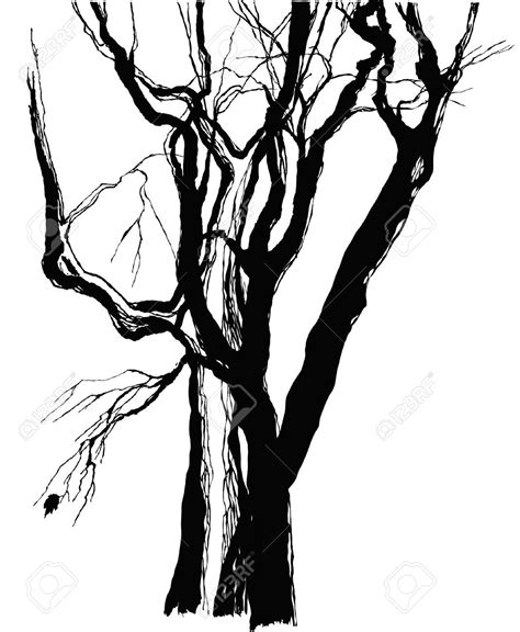 Old Tree Silhouette At Getdrawings Free Download