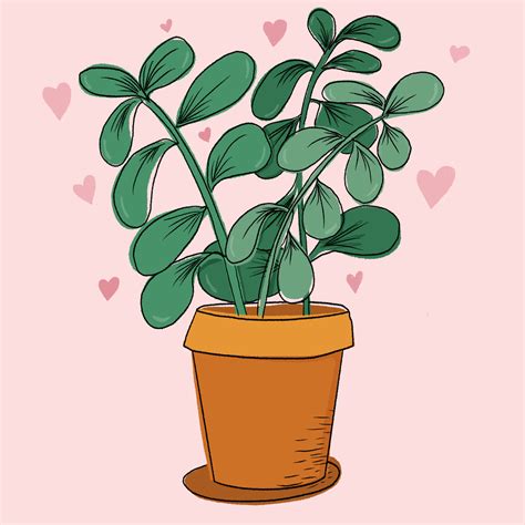 Plant  Animated