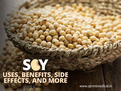 Soy - Uses, Benefits, Side Effects, and More | Sprint Medical