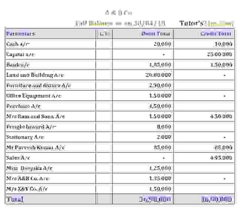 Trial Balance Explanation Methods Examples Tutor S Tips