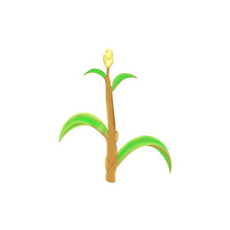 Corn Stalk Png