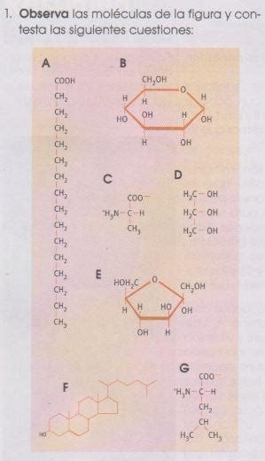 1 Observa las moléculas de la figura y contesta las siguientes