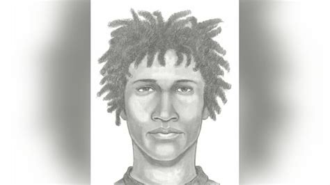 Fairfax County Police Release Suspect Rendering In Reston Shooting