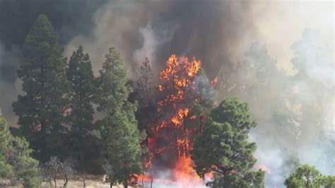 Hitzewelle in Südeuropa Riesiger Waldbrand wütet auf Urlaubsinsel La