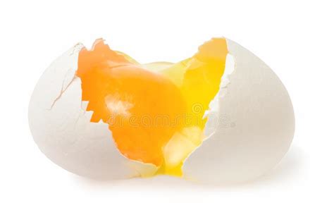 Egg Or Chicken First Where Do Chicken Eggs Come From