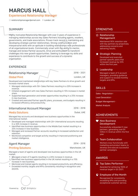 Relationship Manager Resume Examples Guide For