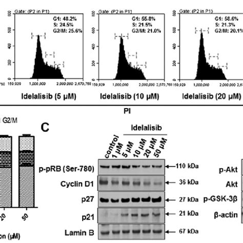 Idelalisib Induces K562 Cell Cycle Arrest In The G1 Phase A Cell Download Scientific Diagram