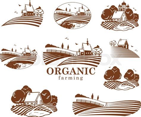 Organic Farming Design Elements Stock Vector Colourbox