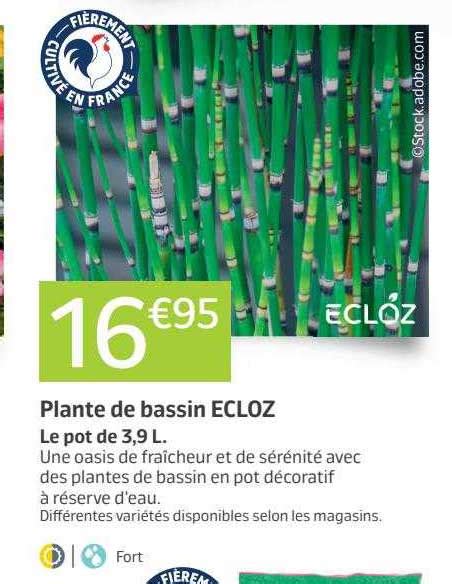 Promo Plante De Bassin Ecloz Chez Jardiland ICatalogue Fr