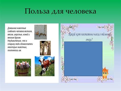 Домашние животные. Мои домашние питомцы - презентация онлайн