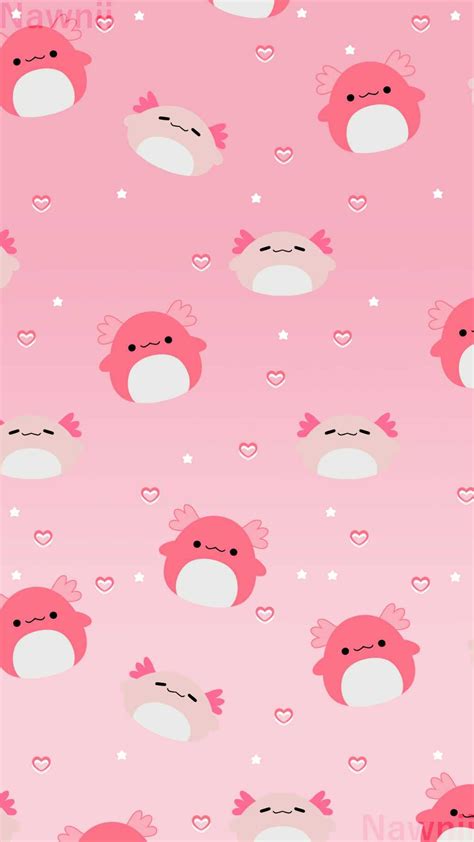 Squishmallows Wallpaper Ixpaper