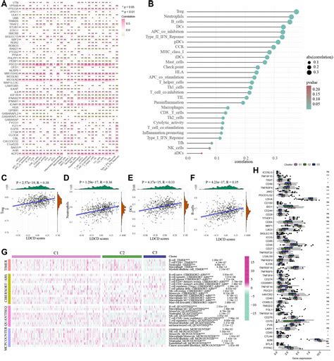 Molecular Characteristics And Prognostic Significances Of Lysosomal