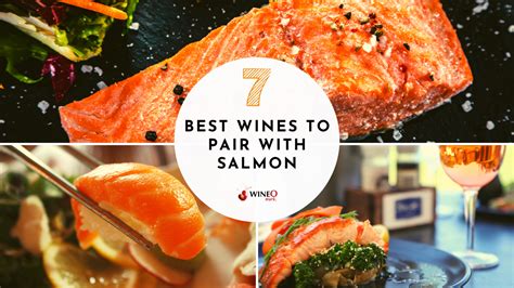 Best Wine With Salmon Our 7 Most Delicious Favorite Pairings