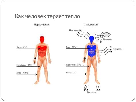 Холодовая травма. Гипотермия - презентация онлайн