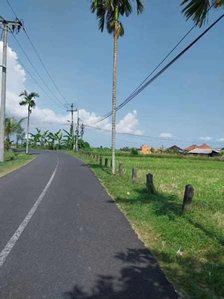 Dijual Global Tanah View Sawah View Laut Dan View Gunung Jalan Pantai