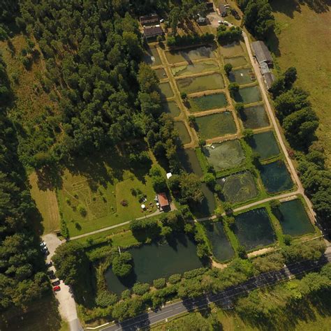 Wochenende Auf Dem Forellenhof Fischakademie Teiche