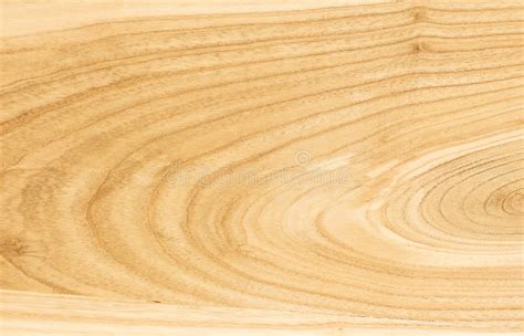 Ash Wood Texture. the Background of the Wood of Hardwood_ Stock Photo ...