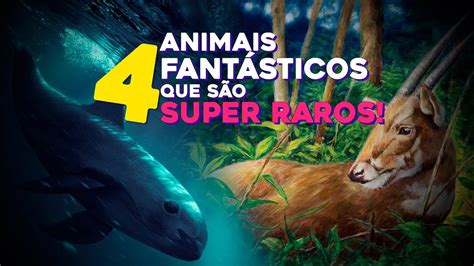 ANIMAIS FANTÁSTICOS QUE SÃO EXTREMAMENTE RAROS YouTube