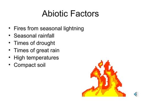 Tropical Savanna Biome Ppt