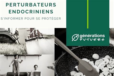 Brochure D Information Sur Les Perturbateurs Endocriniens Campagne