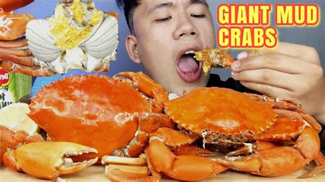 Giant Mud Crabs Mukbang Seafood Mukbang Pinoy Mukbang Mukbang