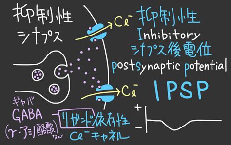 Epspipsp Soil Shop