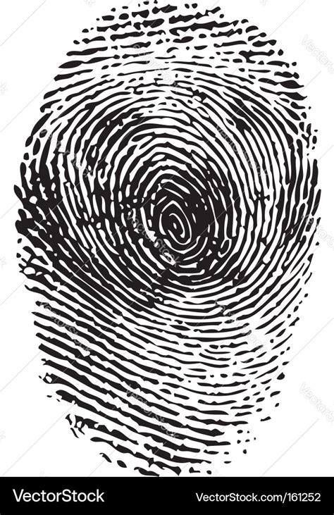 Fingerprint Royalty Free Vector Image VectorStock