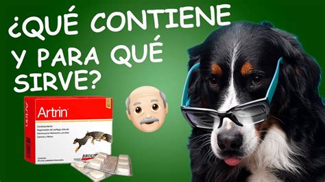 ARTRIN para PERROS Y GATOS Para qué sirve YouTube