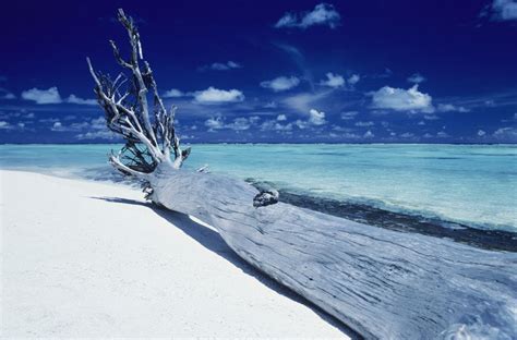 Marlon Brando's Private Island in Tahiti Called Tetiaroa