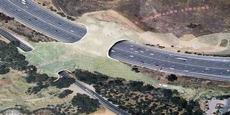 California Wildlife Crossings Get New Funding Planetizen News