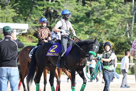 宝塚記念2024特集｜競馬予想のウマニティ