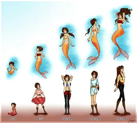 Mermaid Tail Proportions In 2024 Mermaid Drawings Mermaid Art Cute Drawings