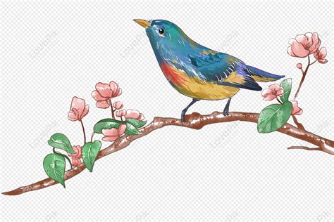 Spring Flowers And Birds