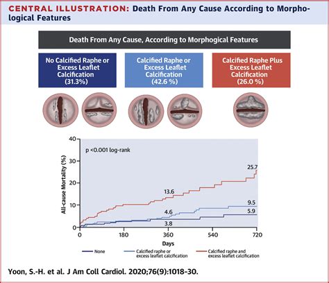 Bicuspid Aortic Valve Morphology And Outcomes After Transcatheter