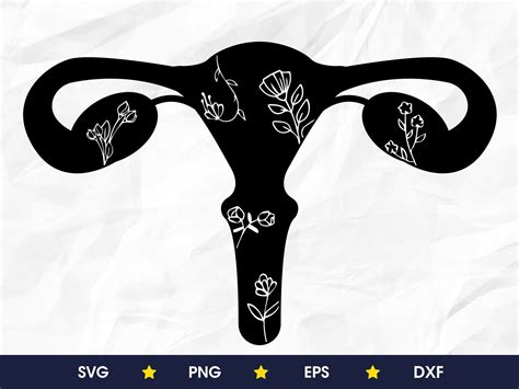 Floral Uterus Svg Png Eps Dxf Etsy